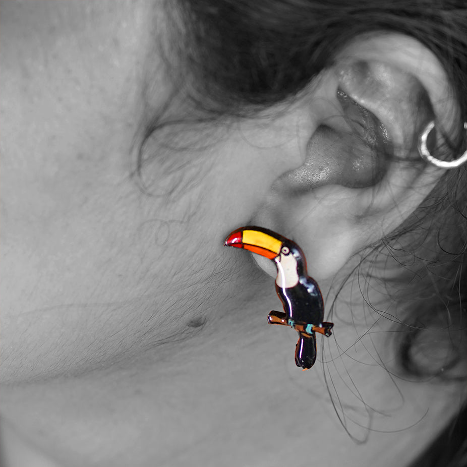 Tucan